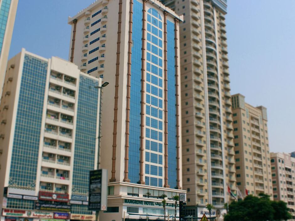 Фото отеля MANGROVE