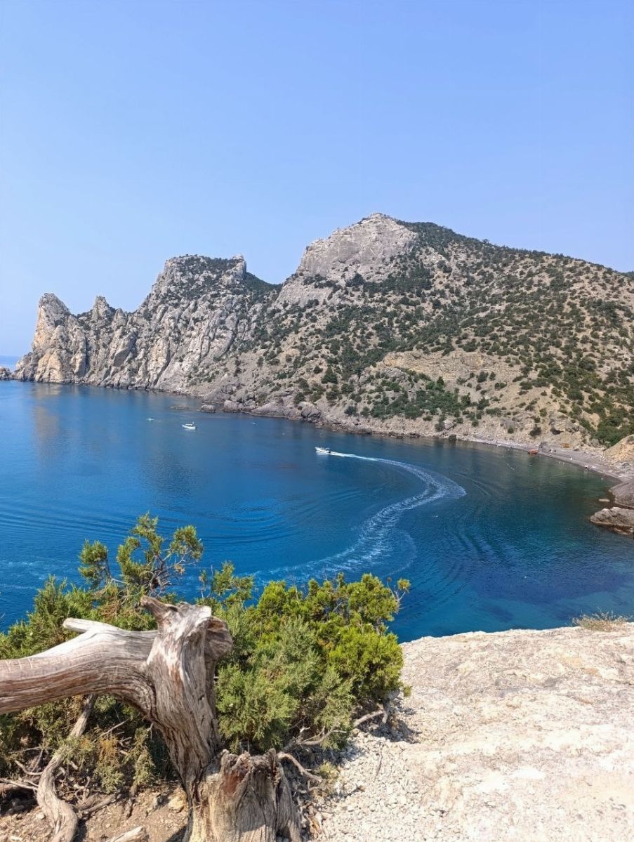 Татьяна Стонога